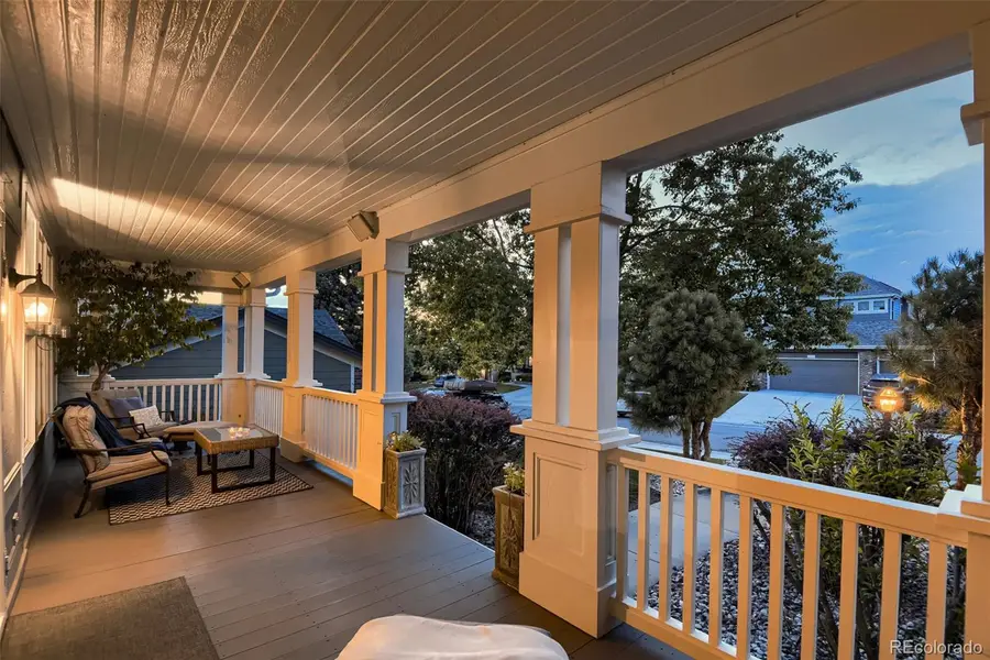 9153 Princeton Street, Highlands Ranch, CO 80130 - #3