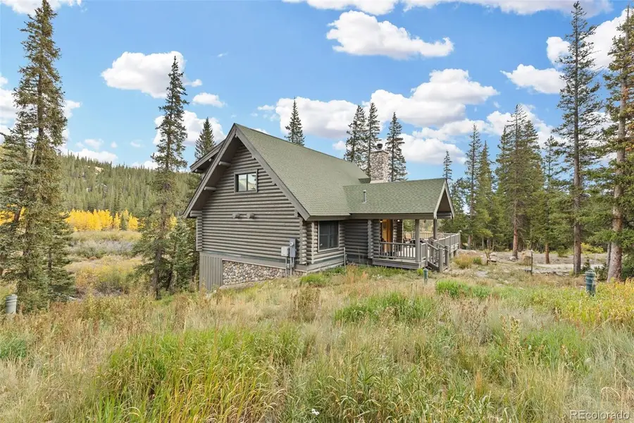 925 Gold Pan Lane, Fairplay, CO 80440 - #2