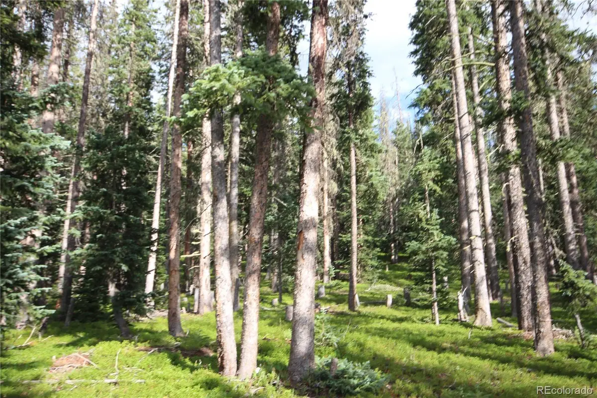 LOT 6524 Forbes Road, San Luis, CO 81152 - #1