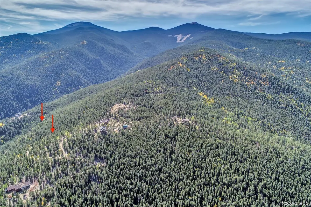 1234 Warren Gulch Road, Idaho Springs, CO 80452 - #1