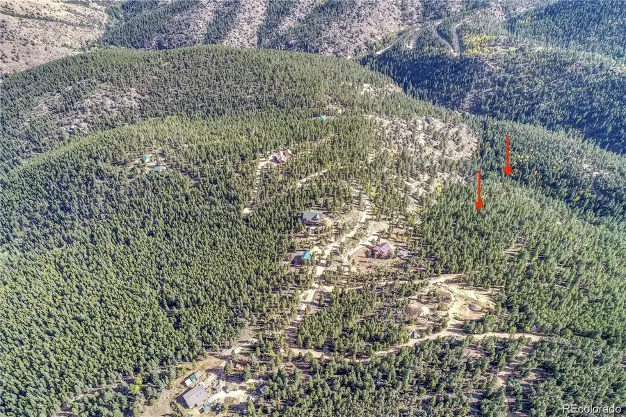 1234 Warren Gulch Road, Idaho Springs, CO 80452 - #3