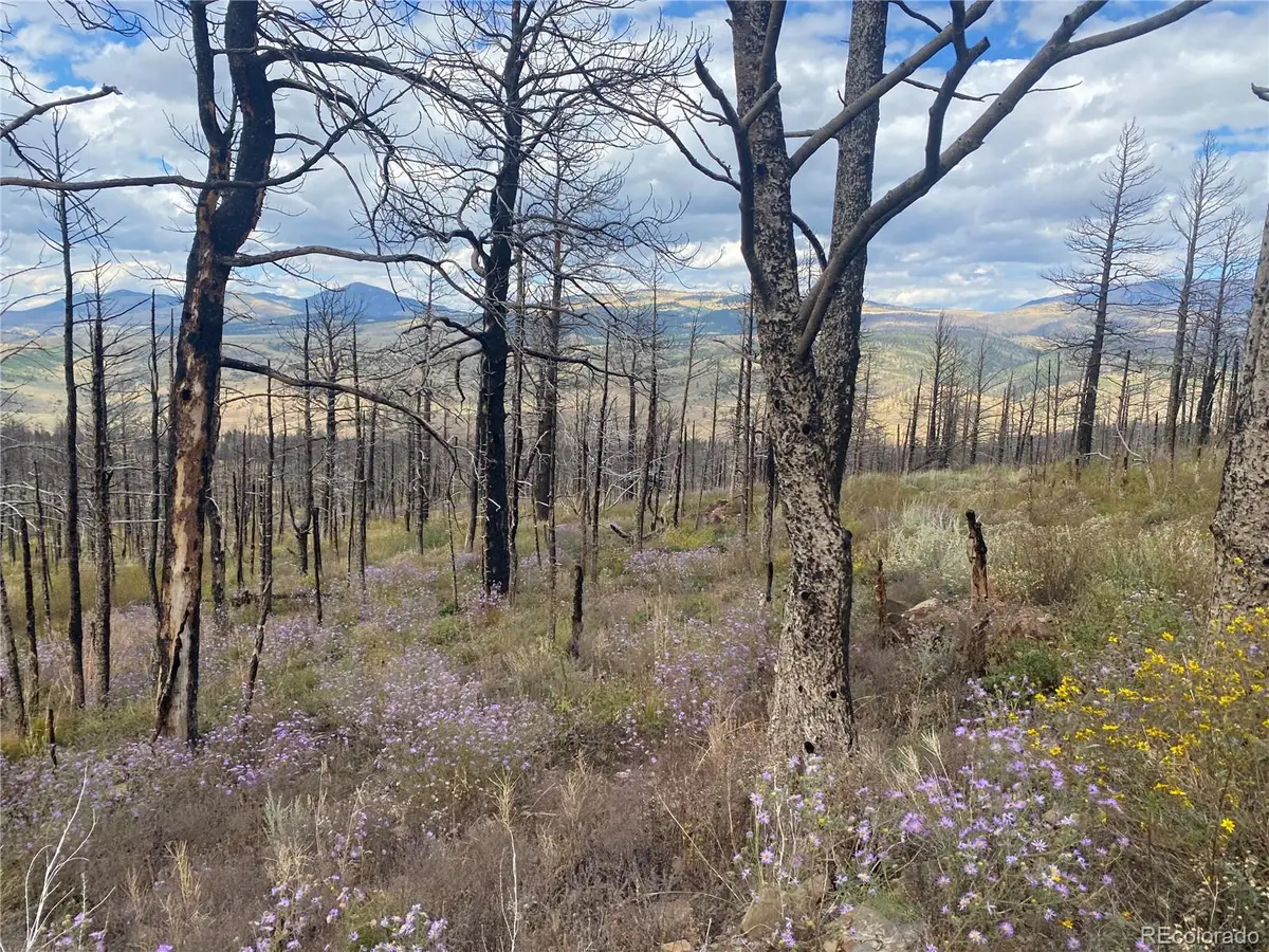 338 Hagin Lane, Fort Garland, CO 81133 - Image #1