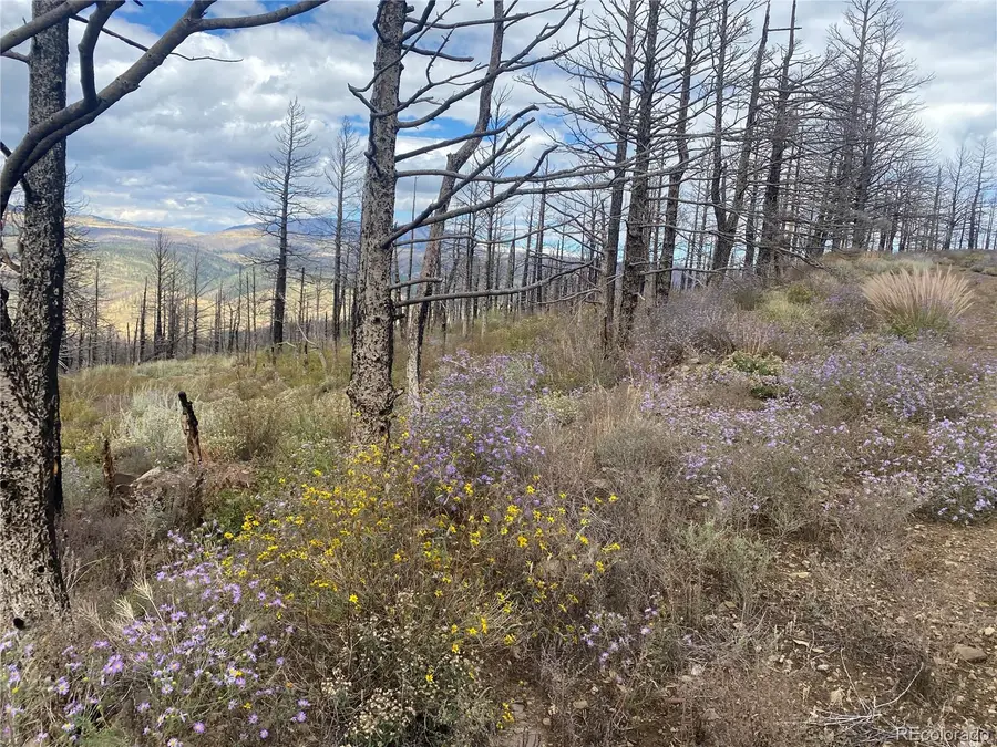 338 Hagin Lane, Fort Garland, CO 81133 - Image #3