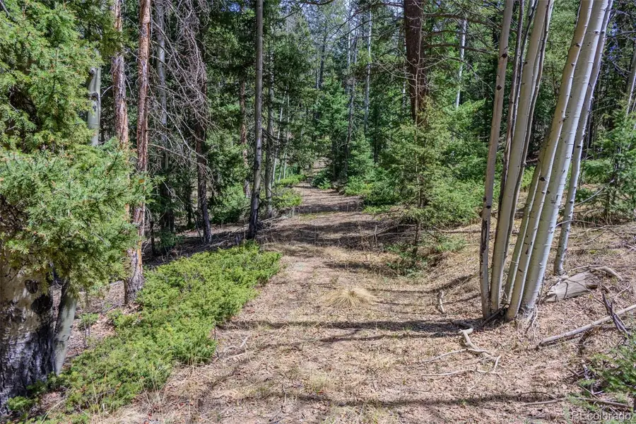 2763 N Mountain Estates Road, Florissant, CO 80816 - #2