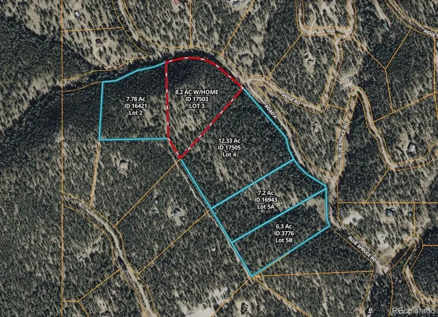 448 Cr-b, Pine, CO 80470 - #2