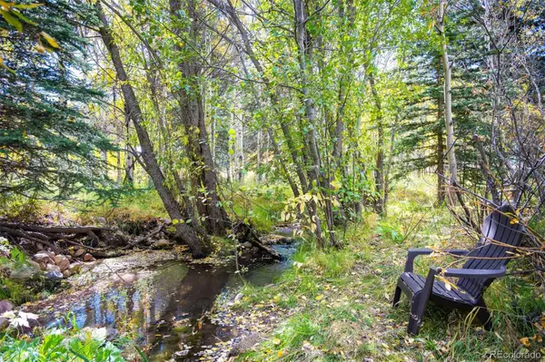 531 Caribou Road, Nederland, CO 80466