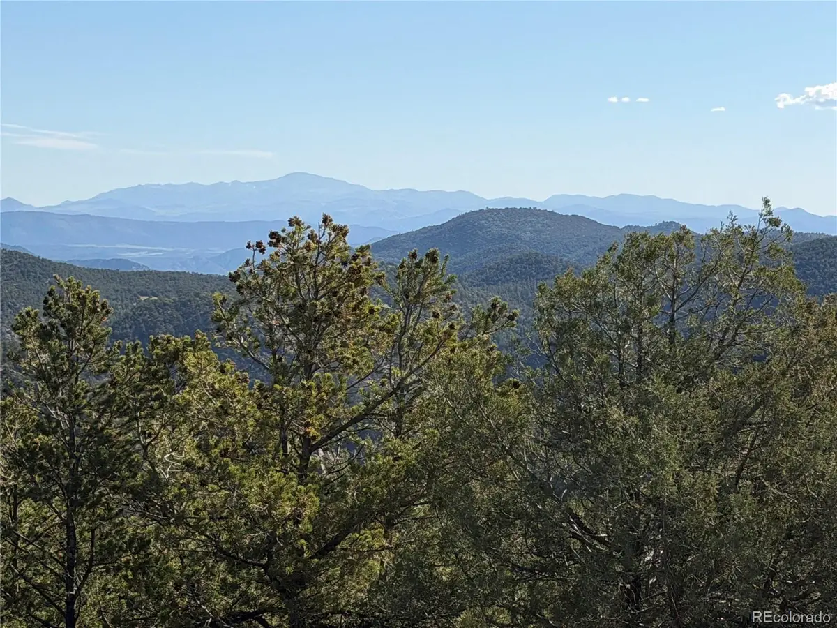 20 Molly Lane, Cotopaxi, CO 81223 - #1
