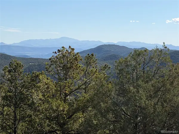 20 Molly Lane, Cotopaxi, CO 81223