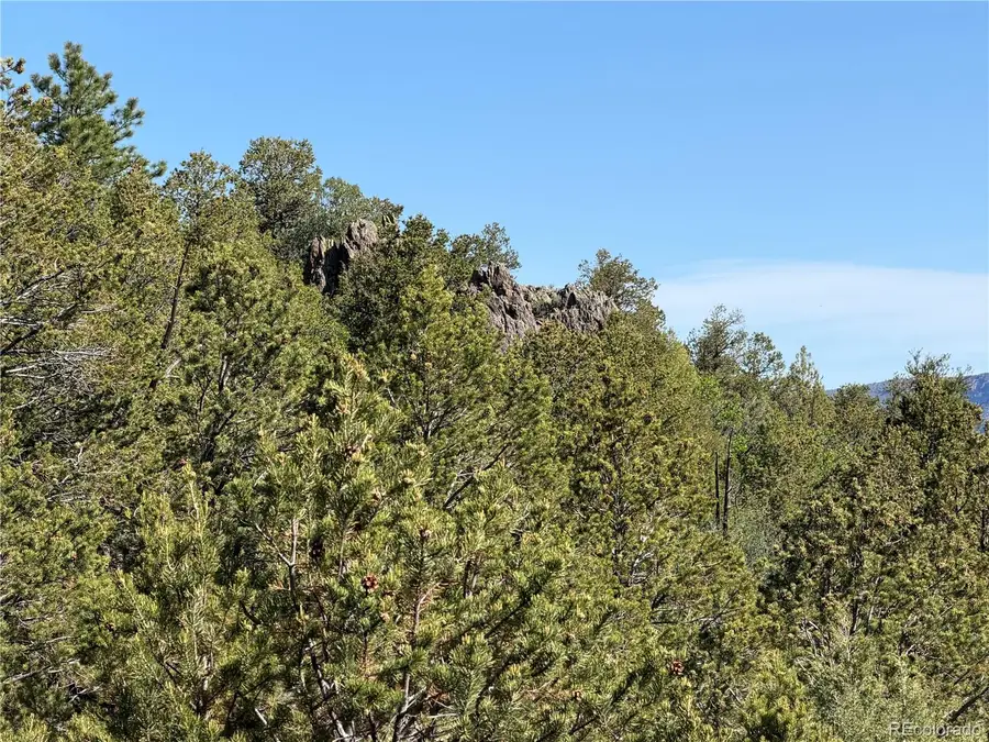 20 Molly Lane, Cotopaxi, CO 81223 - #3
