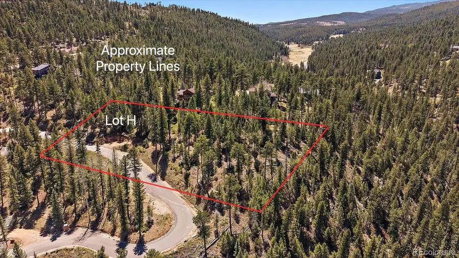 6855 Lynx Lair Road, Evergreen, CO 80439 - #3