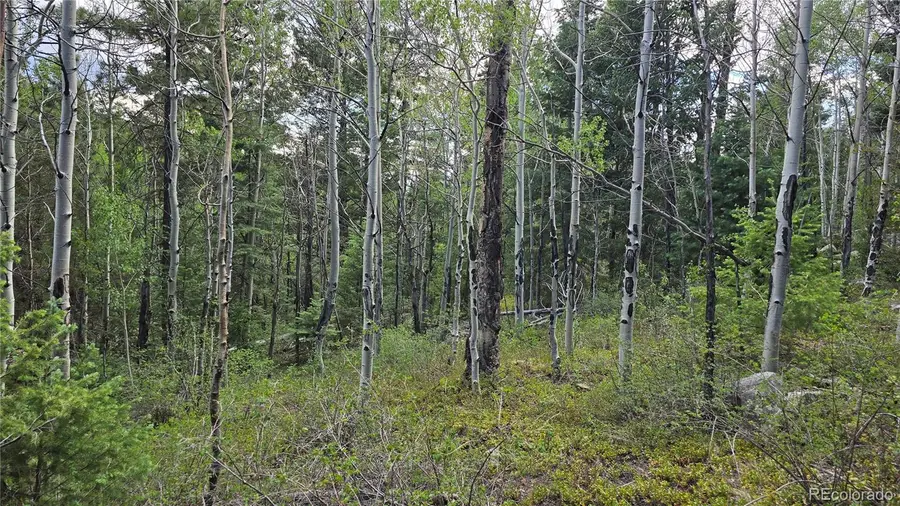 Lot 6474 Malcolm Road, San Luis, CO 81152 - #2