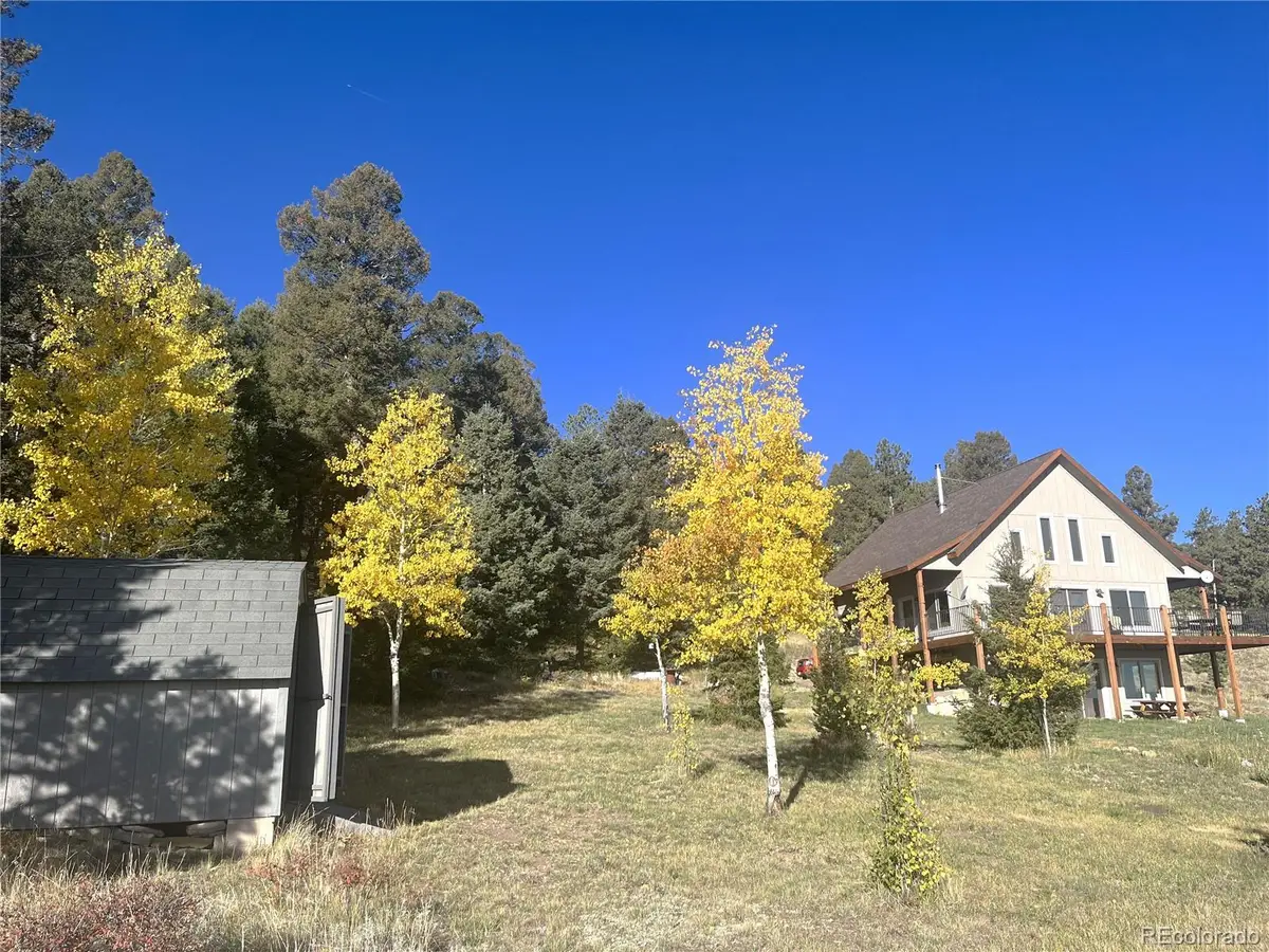 1007 Hereford Drive, Hartsel, CO 80449 - #1