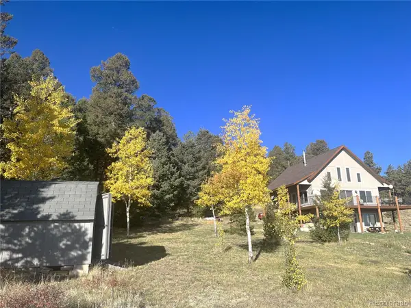 1007 Hereford Drive, Hartsel, CO 80449