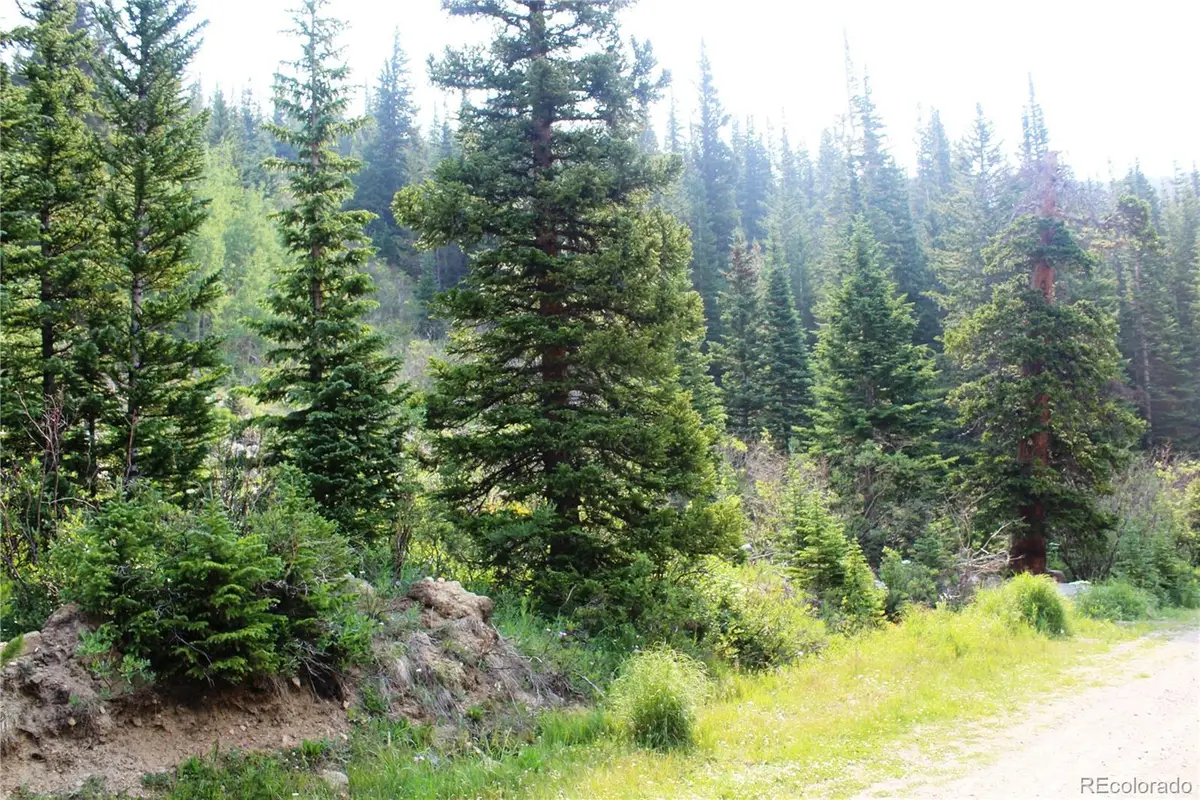 01 Miners Road, Saint Marys, CO 80461 - #1