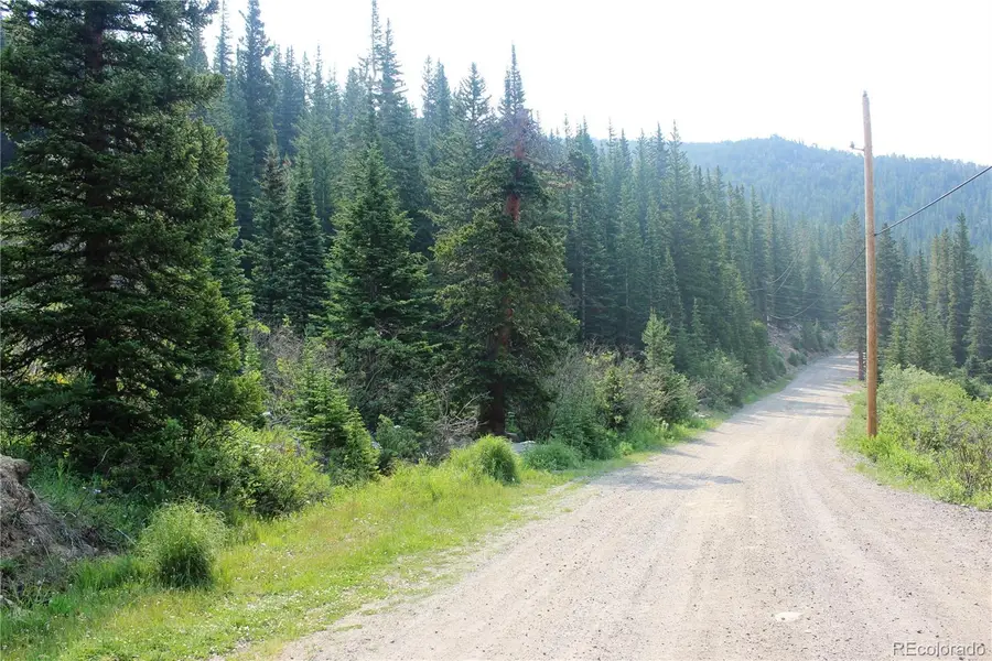 01 Miners Road, Saint Marys, CO 80461 - #2