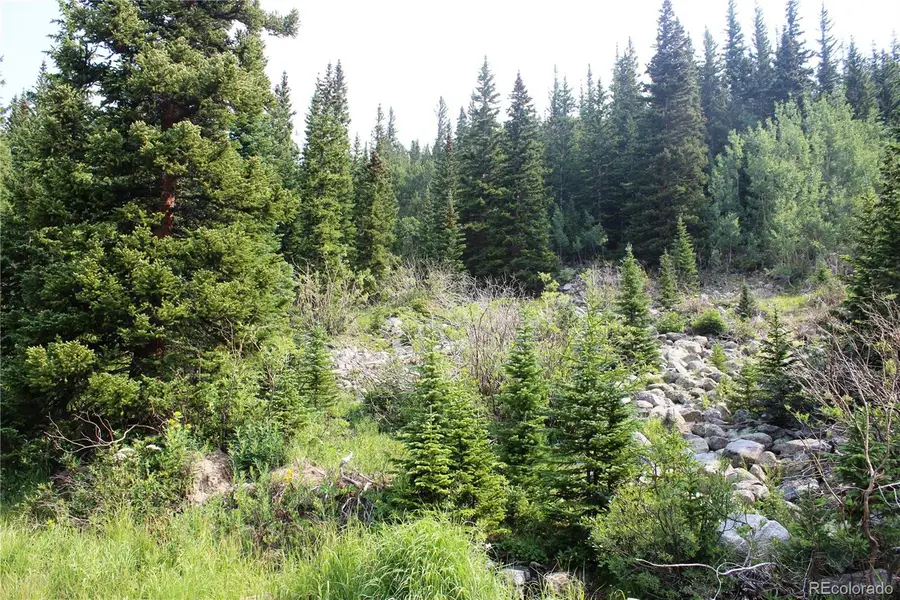 01 Miners Road, Saint Marys, CO 80461 - #3