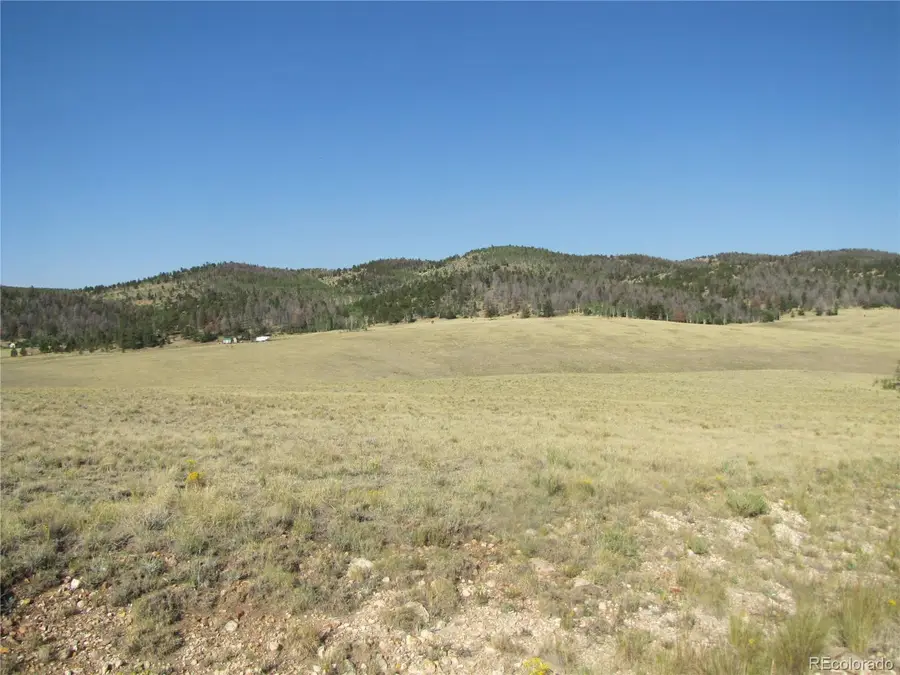 1027 Bolster Drive, Hartsel, CO 80449 - #3
