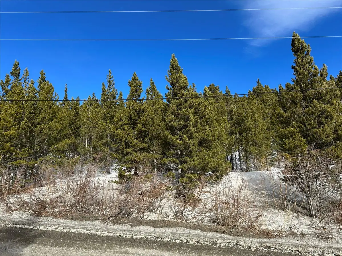 691 Alice Road, Idaho Springs, CO 80452 - Image #1