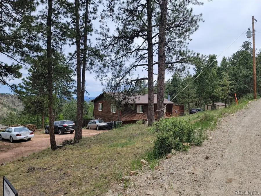 362 Raven Drive, Bailey, CO 80421 - #2