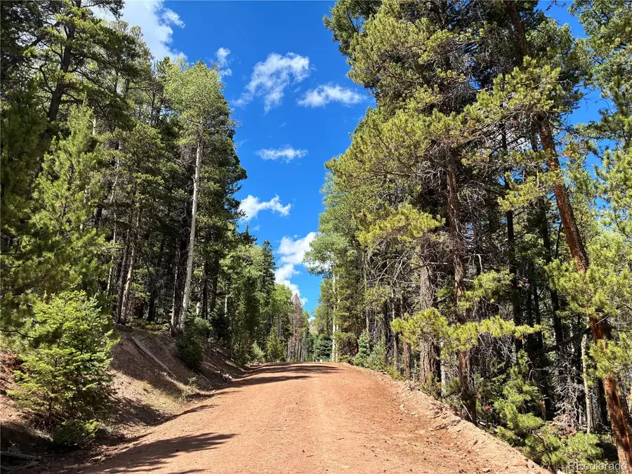 LOT 3307 Grojean, Fort Garland, CO 81133 - #2