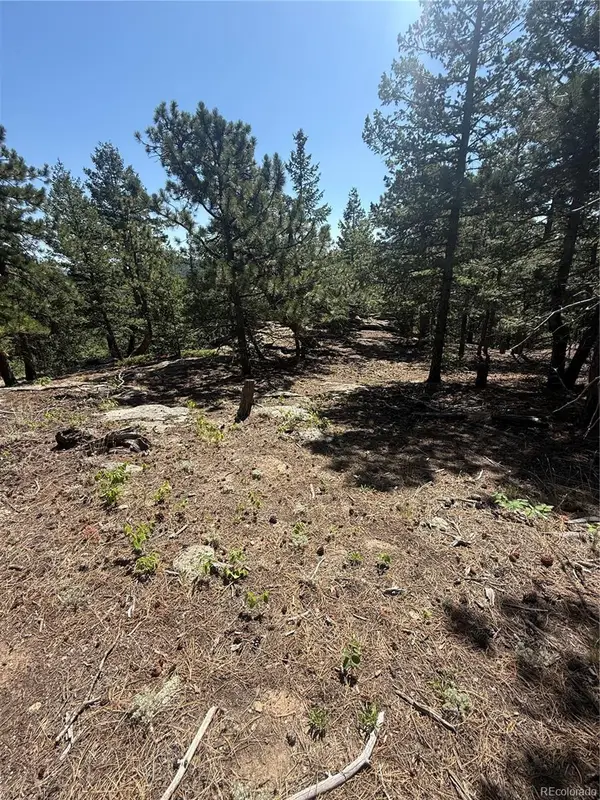 11548 Overlook Drive, Golden, CO 80403