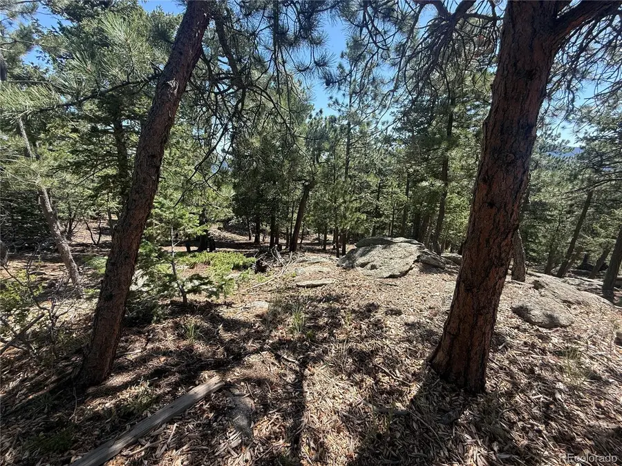 11548 Overlook Drive, Golden, CO 80403 - #3