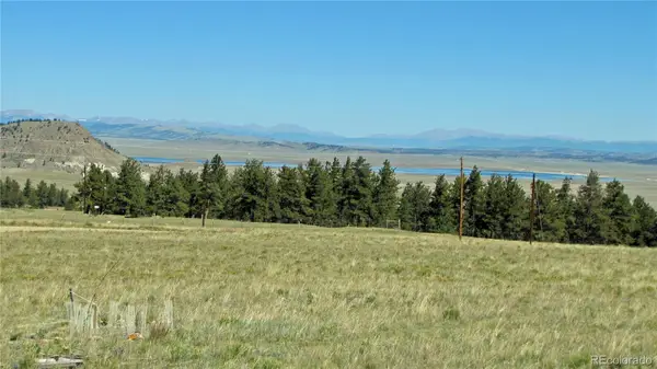 1198 Wagon Wheel Road, Hartsel, CO 80449