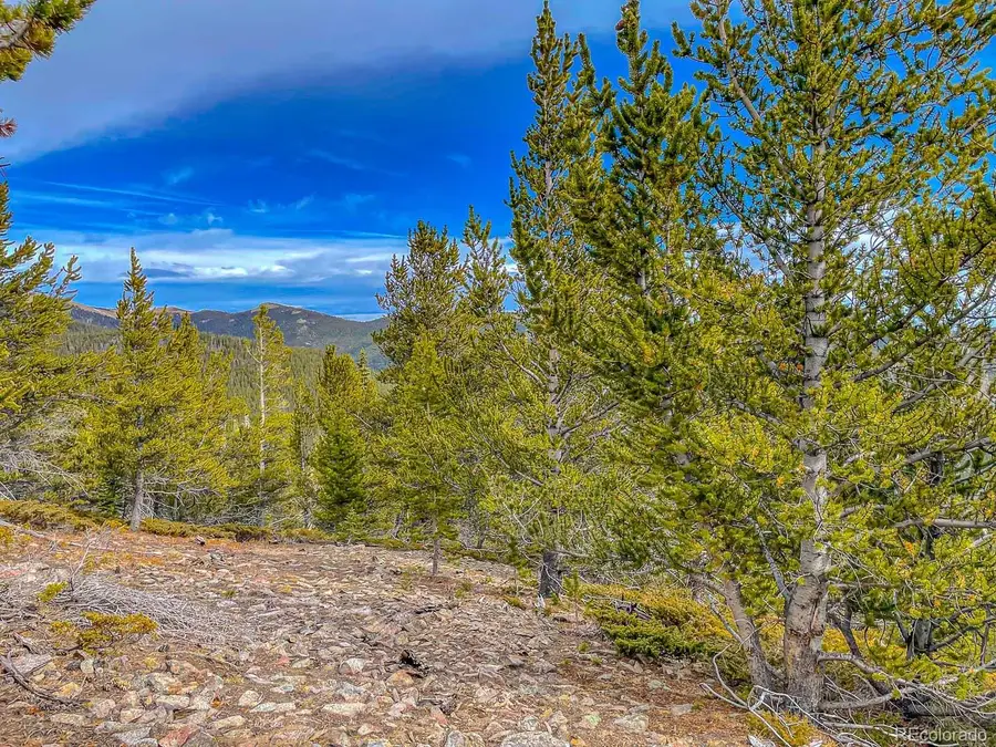 Lot 530 Hilltop Road, Idaho Springs, CO 80452 - #2