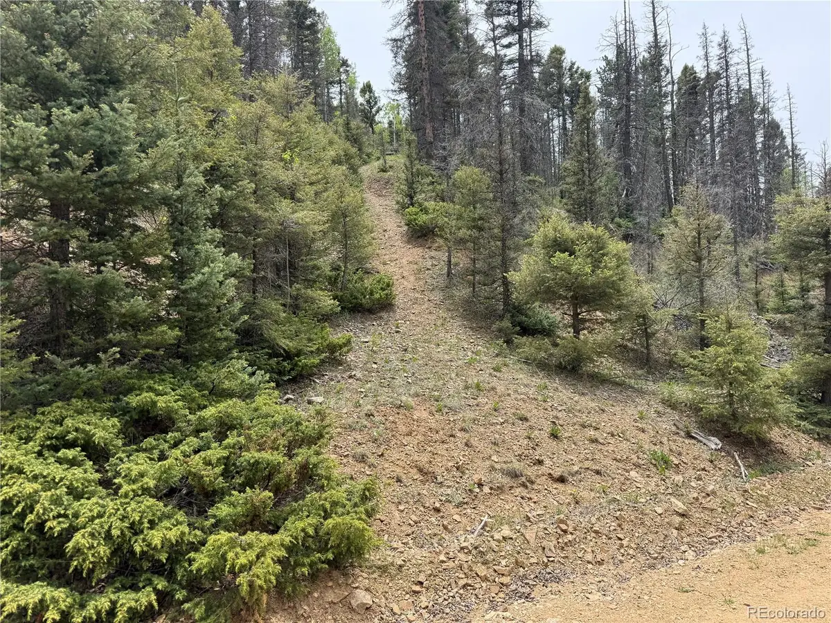 Lot 6795 Starkweather Road, Fort Garland, CO 81133 - #1