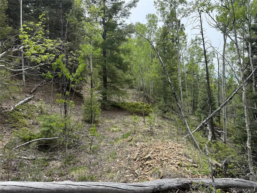 Lot 6795 Starkweather Road, Fort Garland, CO 81133 - #2