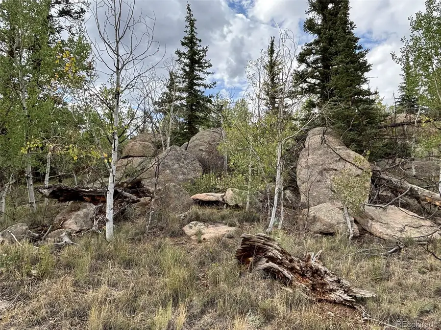 150 Ambush Lane, Jefferson, CO 80456 - #2