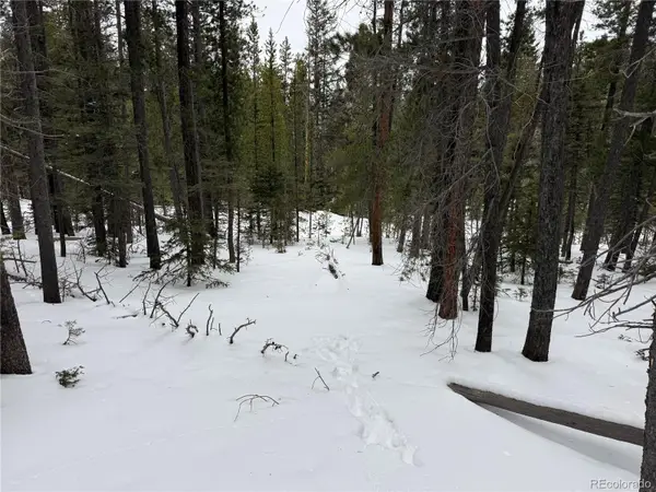 Lot 2806 Moir Drive, Fort Garland, CO 81133