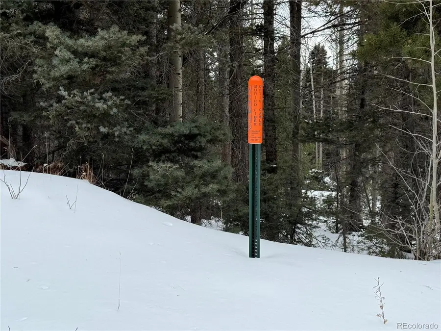 Lot 2806 Moir Drive, Fort Garland, CO 81133 - Image #2