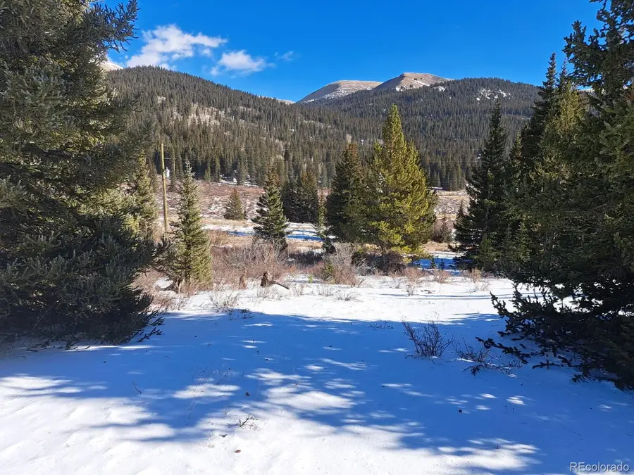 3553 River Drive, Alma, CO 80420 - Image #2