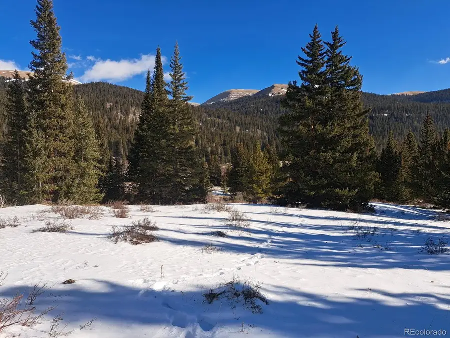 3553 River Drive, Alma, CO 80420 - Image #3