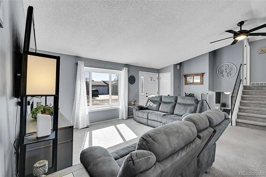 4319 E 118th Avenue, Thornton, CO 80233 - #3