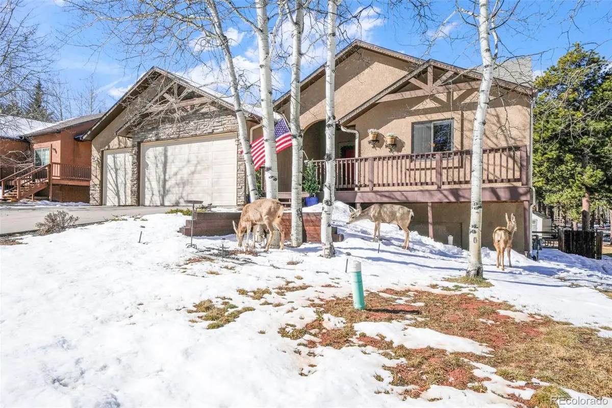 1116 Ptarmigan Drive, Woodland Park, CO 80863 - #1
