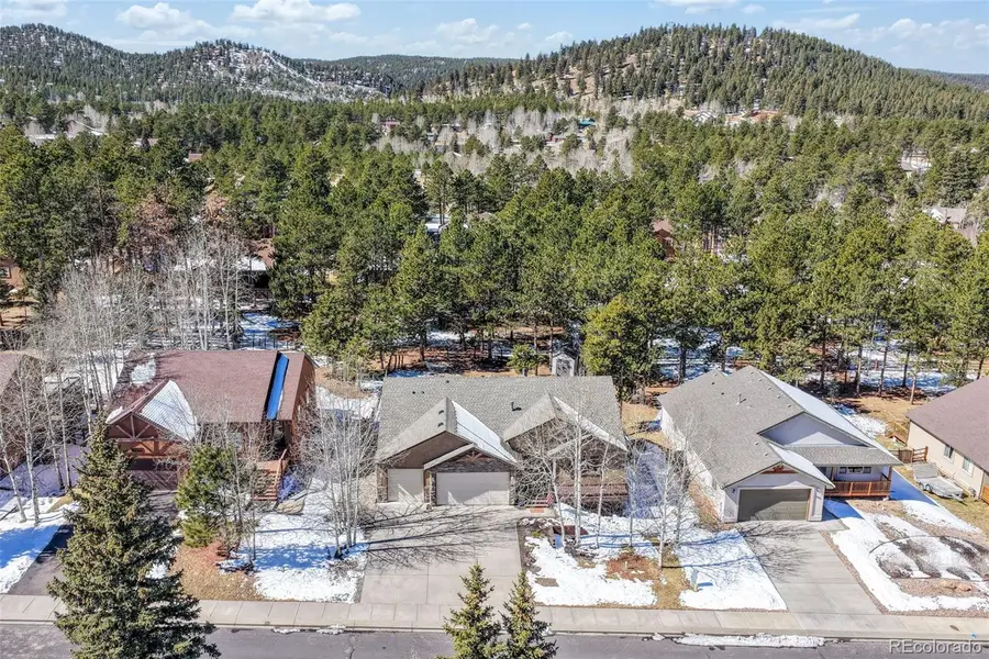1116 Ptarmigan Drive, Woodland Park, CO 80863 - #2