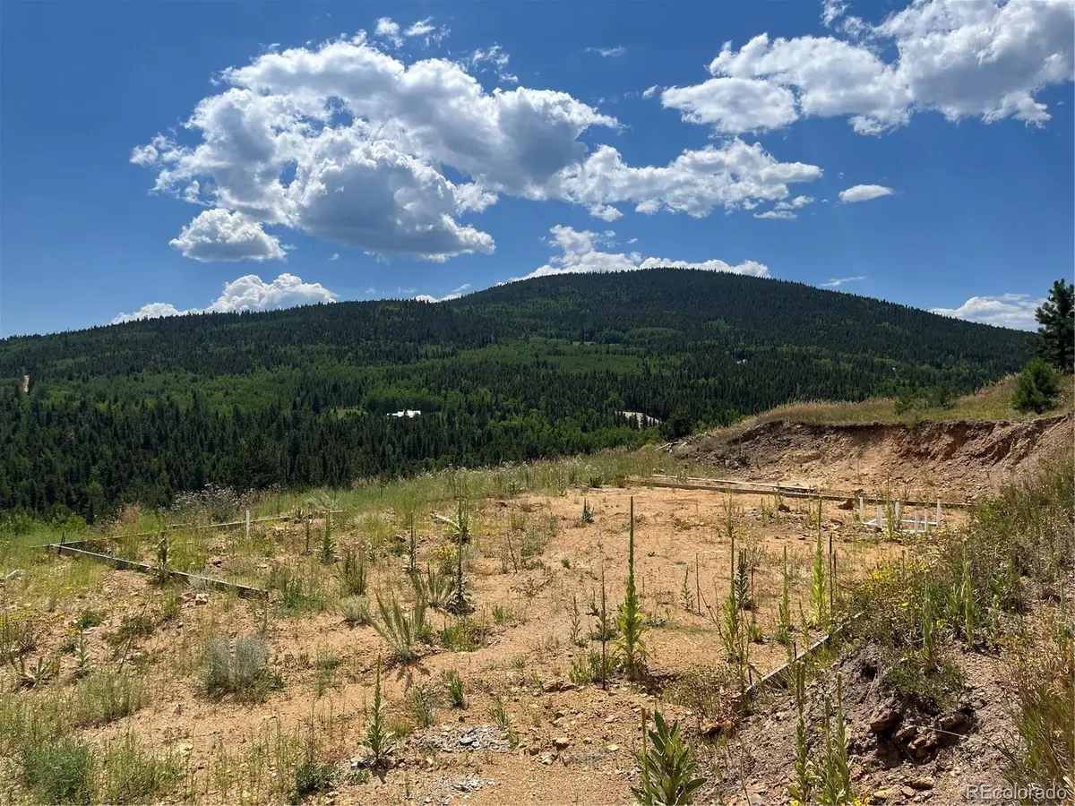 795 Russell Gulch Road, Central City, CO 80427 - #1
