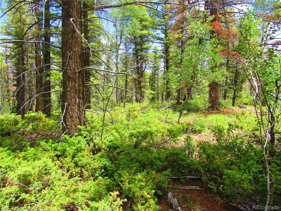 LOT 6082 Stella Road Road, San Luis, CO 81152 - #3