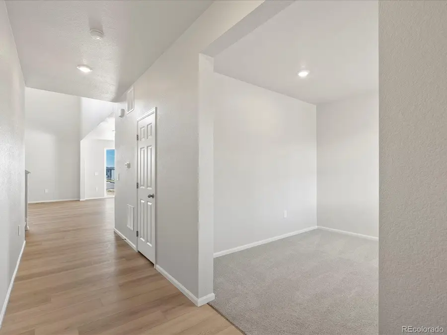 1637 Yampa River Drive, Windsor, CO 80550 - #2