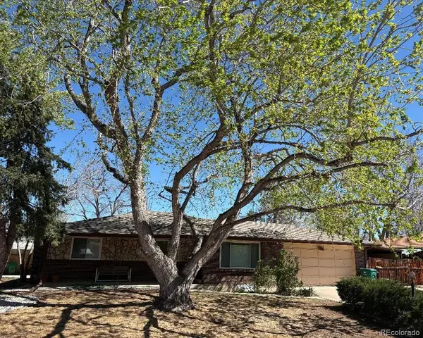 12491 W 7th Place, Lakewood, CO 80401
