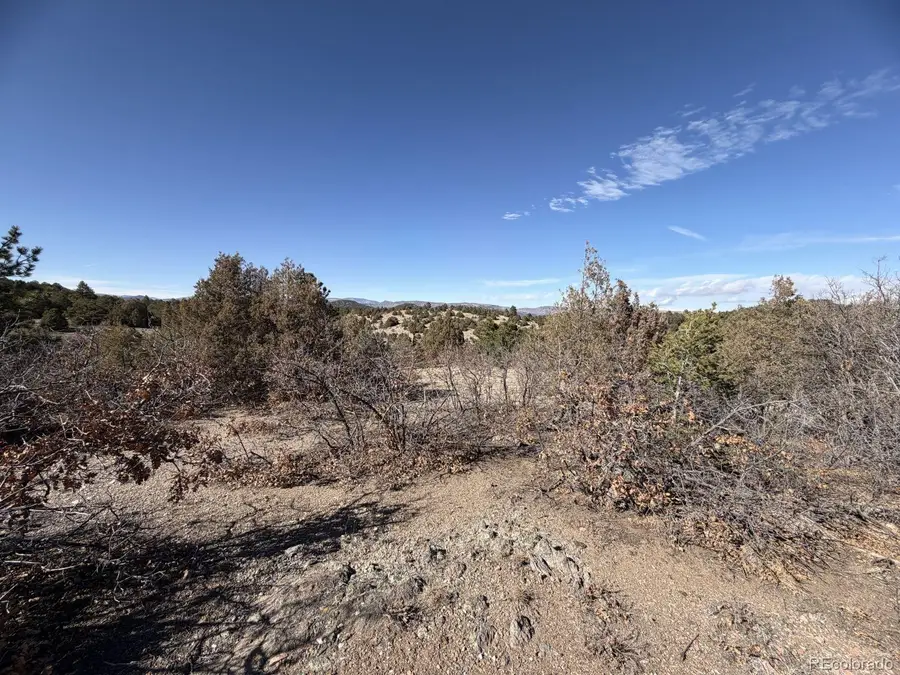 3412 Indian Wells Road, Cotopaxi, CO 81223 - #3