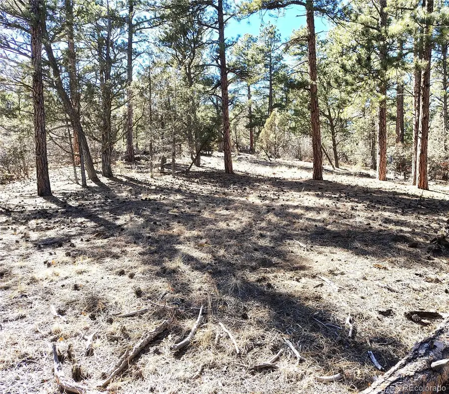 265 Alden Lane, Cotopaxi, CO 81223 - #2