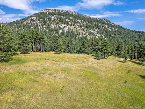 00 S Le Masters Drive, Evergreen, CO 80439