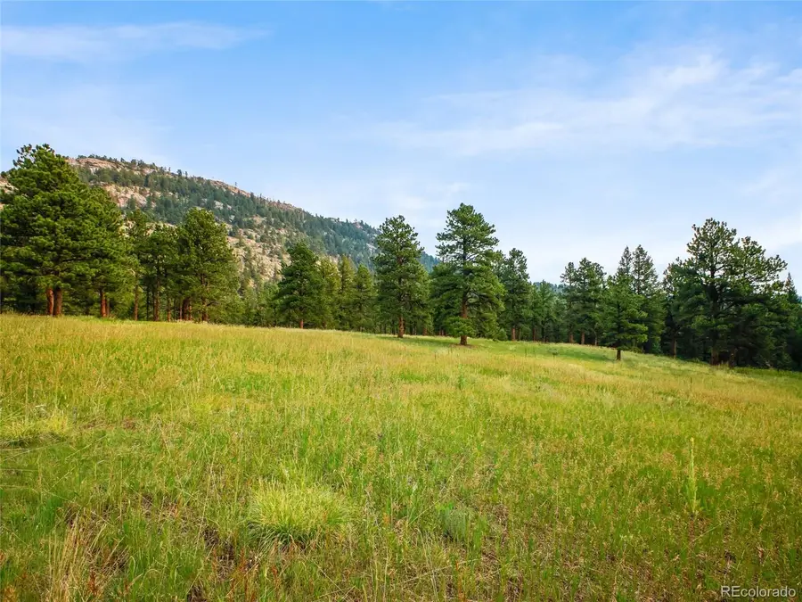 00 S Le Masters Drive, Evergreen, CO 80439 - #3