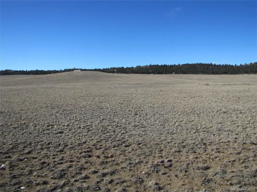 642 N Margaret Place, Hartsel, CO 80449 - #2