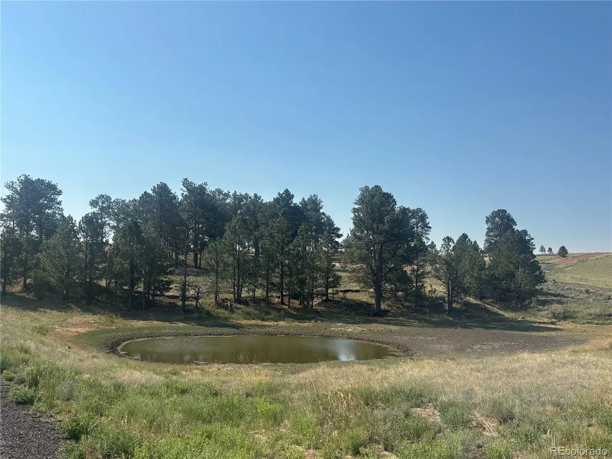 32147 Waylongood Point, Kiowa, CO 80117 - #1