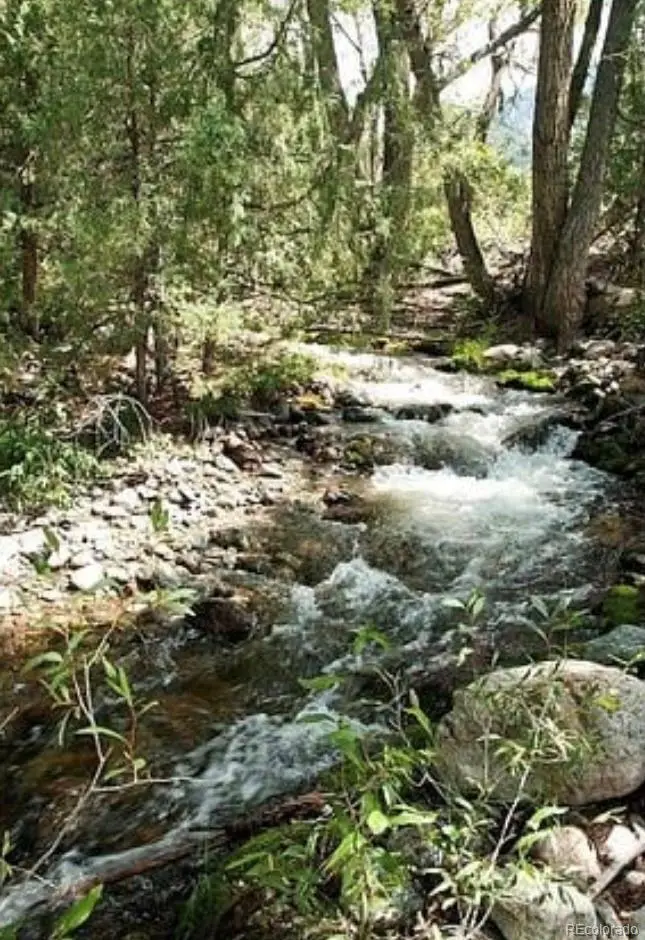 3899 Rarity Way, Crestone, CO 81131 - #1