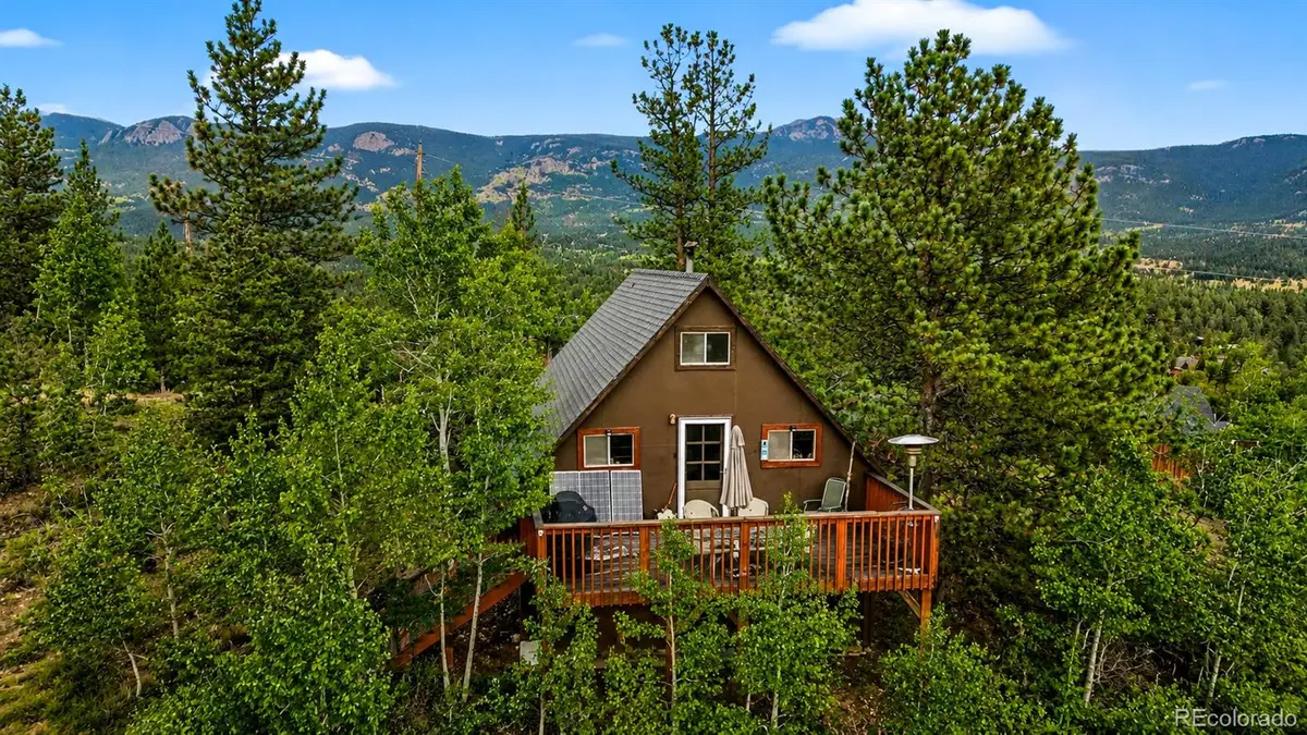 229 Mcdougal Road, Bailey, CO 80421 - #1
